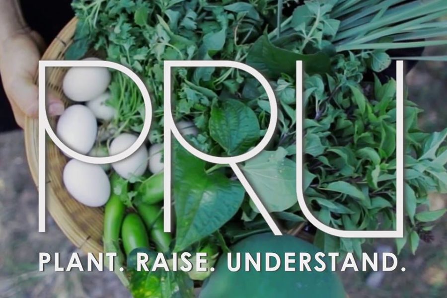 Plant. Raise. Understand.